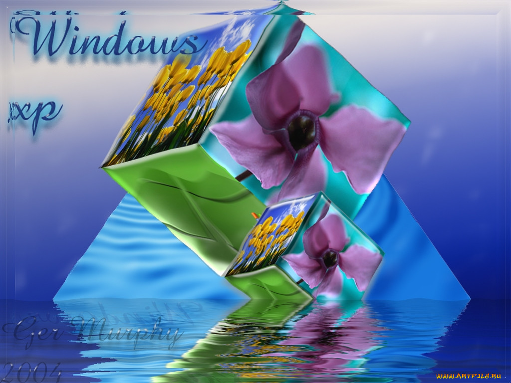 , windows, xp